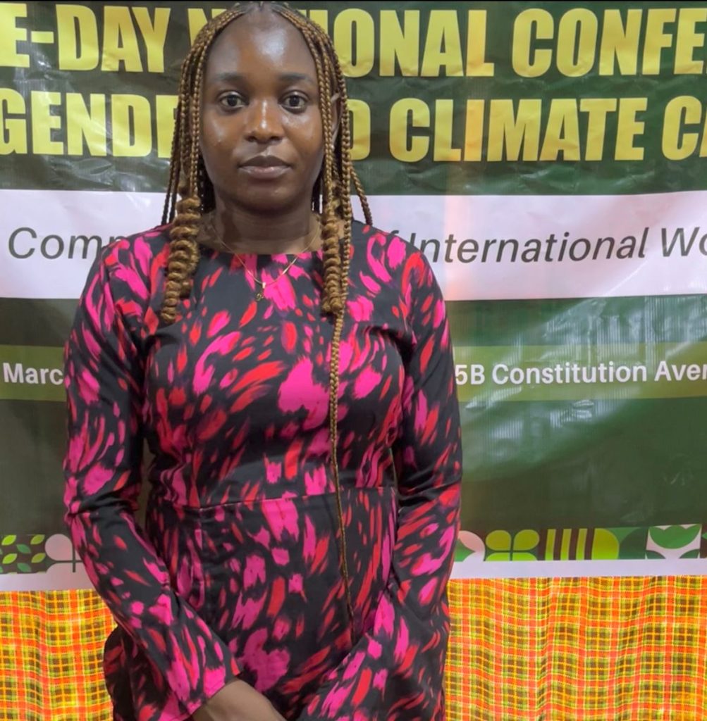 CSDevNet Participates in Advancing Nigeria’s National Action Plan on ...